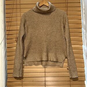 Joie Turtleneck Sweater